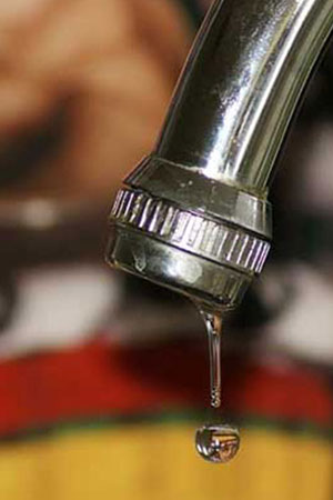 Home Oktoberfest Nairobi festival crowd